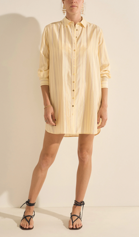 Ilio Nema Arion Silk Stripe Shirt Dress