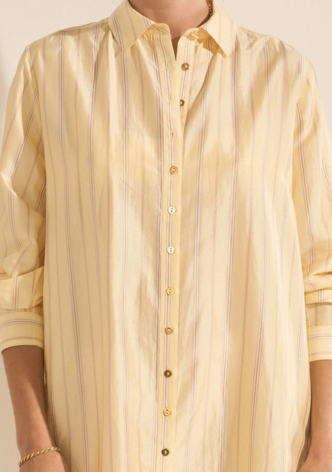 Ilio Nema Arion Silk Stripe Shirt Dress