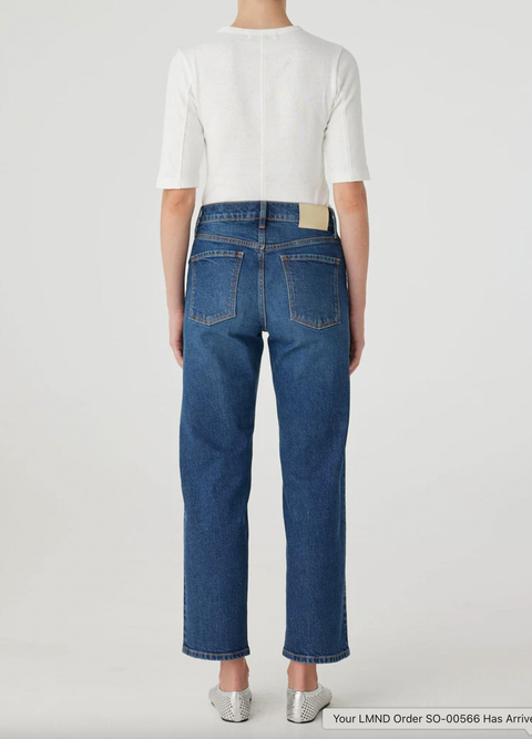 Nobody Denim | Erin Jean Worn Bright Stone